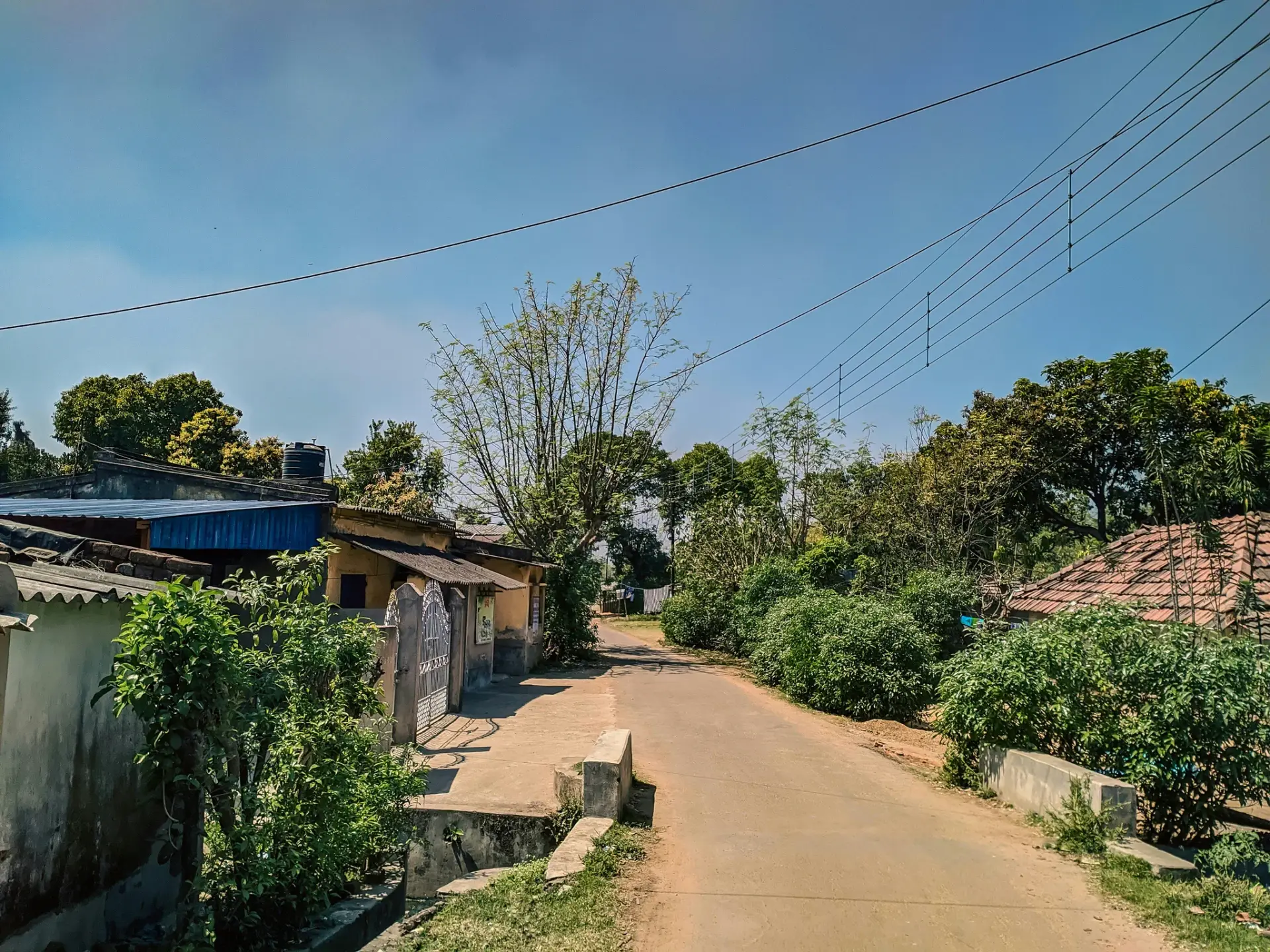 a dirt road with houses and trees in the background